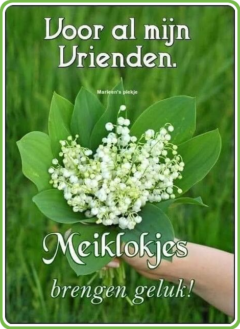 meiklokjes.png