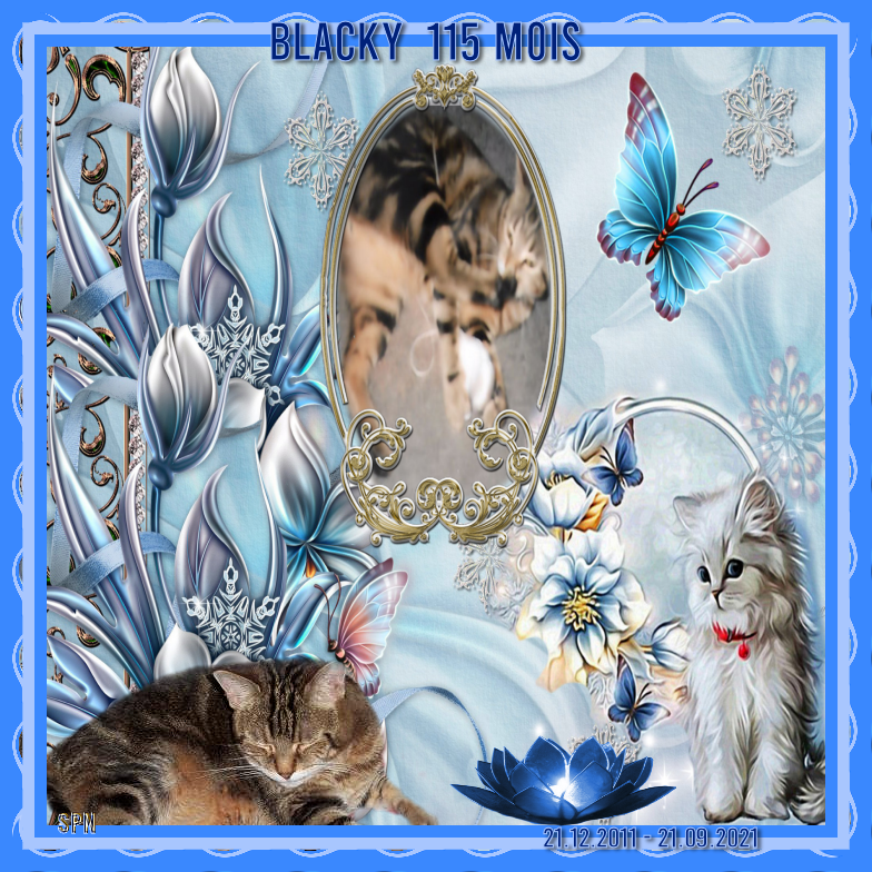 BLACKY-115-MOIS