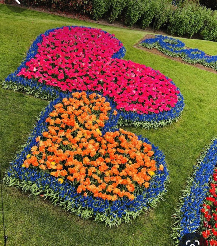 Screenshot_20240210_201801_Pinterest