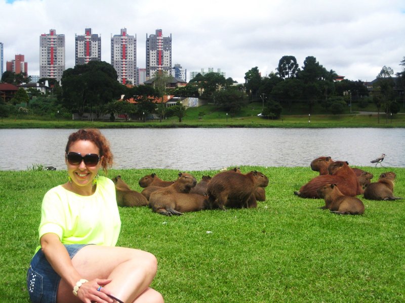 Curitiba-1-3-2010 - Brasil y sus pueblos-2010 (25)