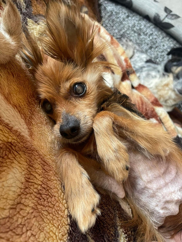 IMG-7cabebc1693334de46ba24fc7c8dbbea-V