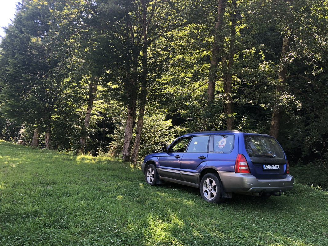 1B33AC74-3209-4C6F-BD46-E2439BCF1786