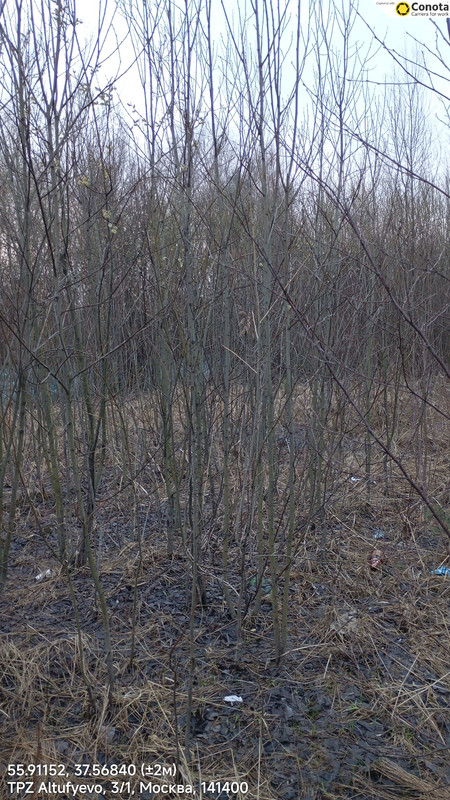 55 91152 37 56840 ( 2м) 10042026 183944