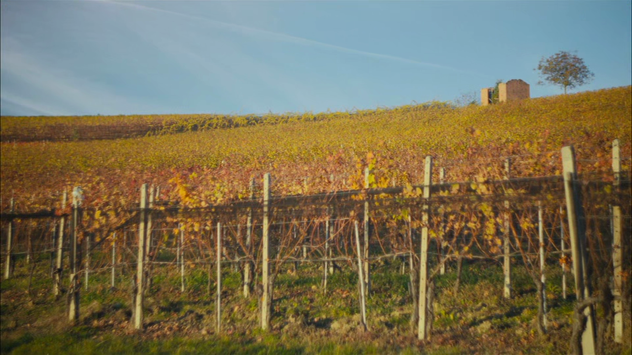 vlcsnap-2025-02-28-23h20m46s798