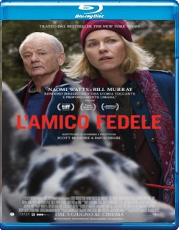 L'Amico Fedele - The Friend (2024) FullHD 1080p ITA E-AC3 ENG DTS+AC3 Subs