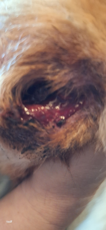 [Image: 20250330-112540.jpg]