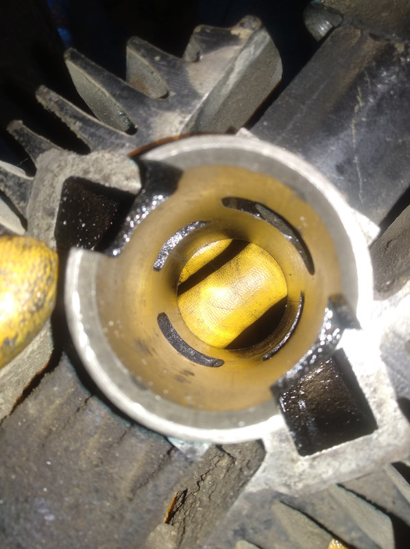 93670686_239447944104739_7864450118181715968_n