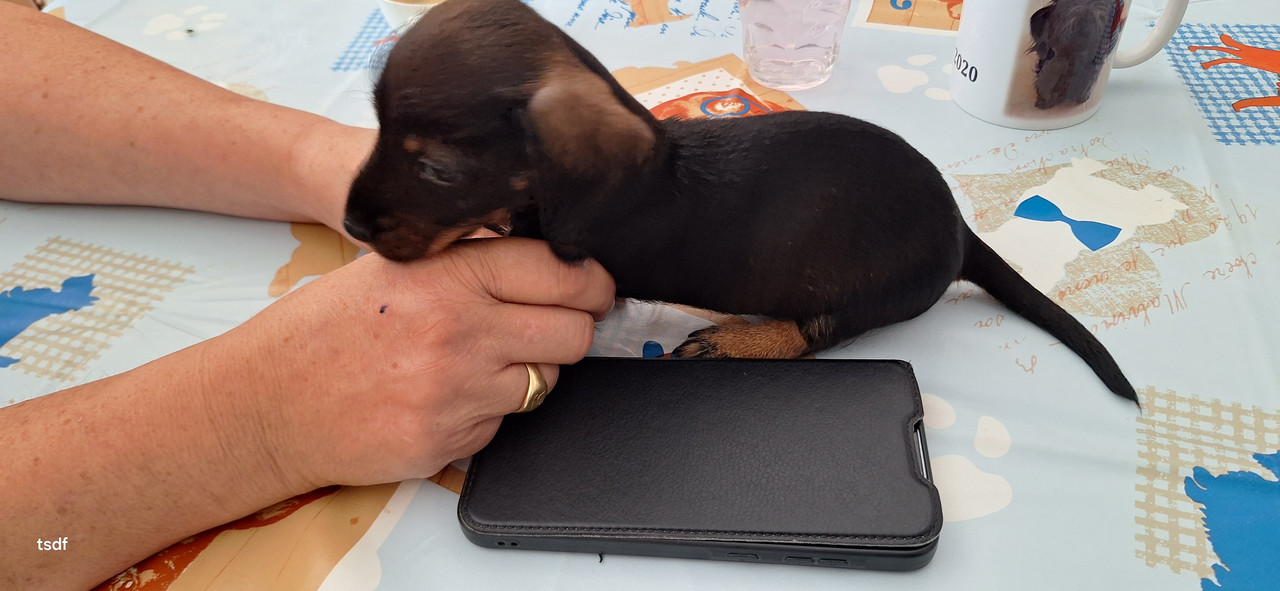 [Image: 20250603-130818.jpg]