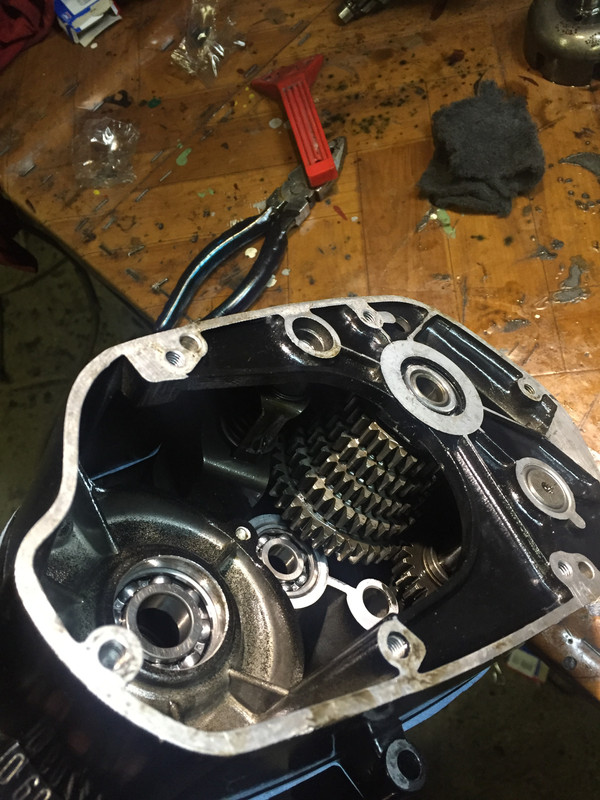 15F94D2E-8A98-4B8E-9A4C-6B6E20641105