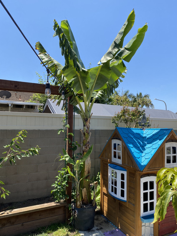 CCC8AACB-A87F-41CD-9D75-D21E94E69369