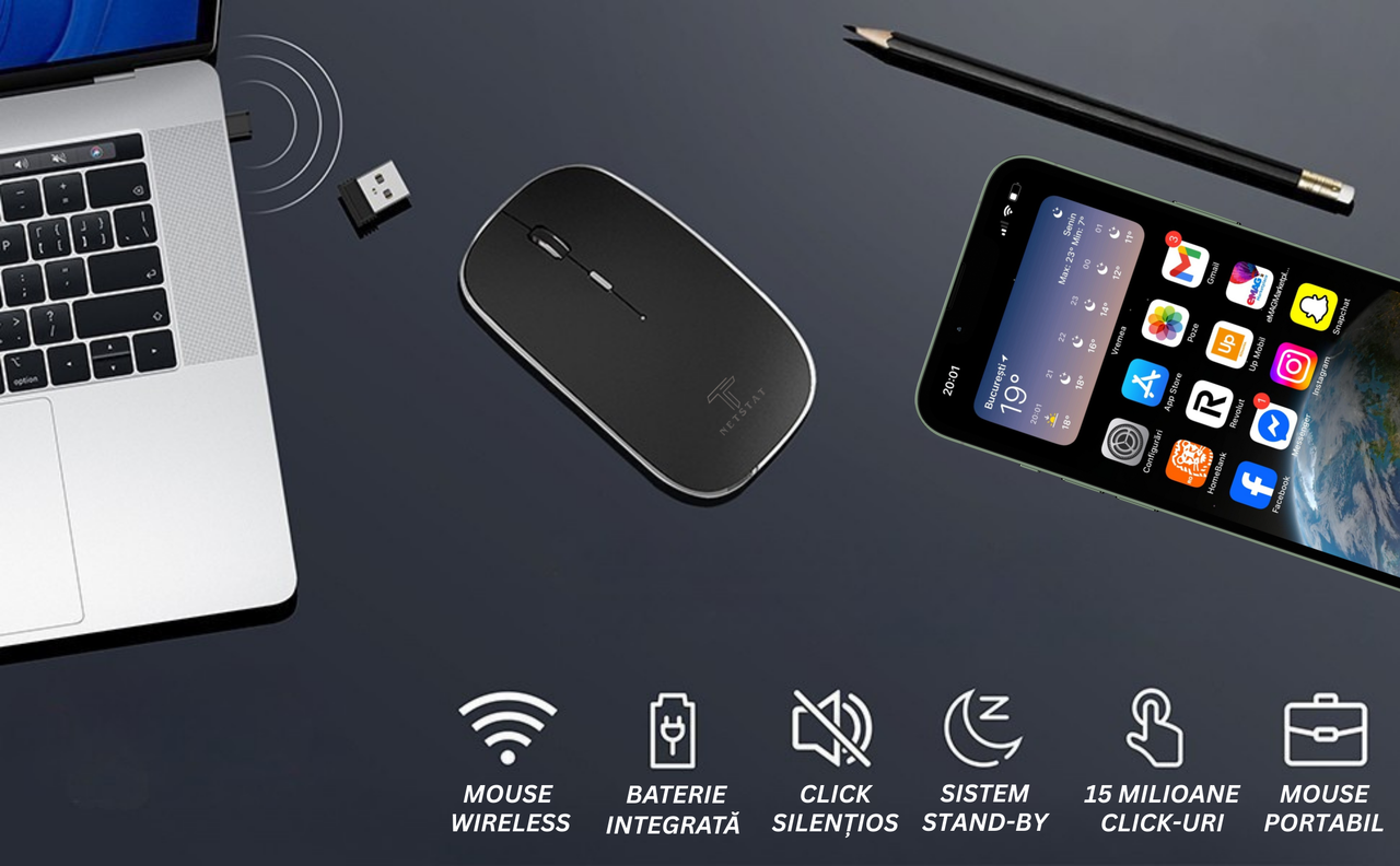 Mouse NETSTAT Prezentare 2