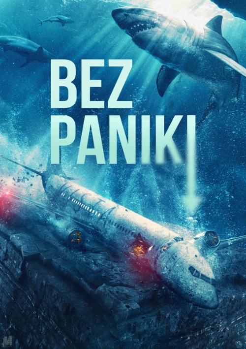 Bez paniki / No Way Up (2024) PL.1080p.BRRip.H264.AC3-d11 / Lektor PL