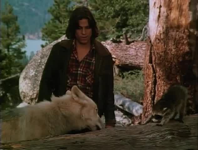 [Image: i07mrmlwt3a7.jpg]