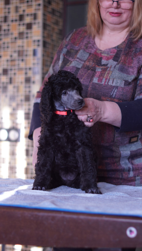 EABC0981-A7D1-410C-A174-9D0D012563C3