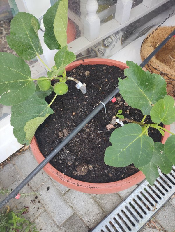 16906455258917480770524931689401