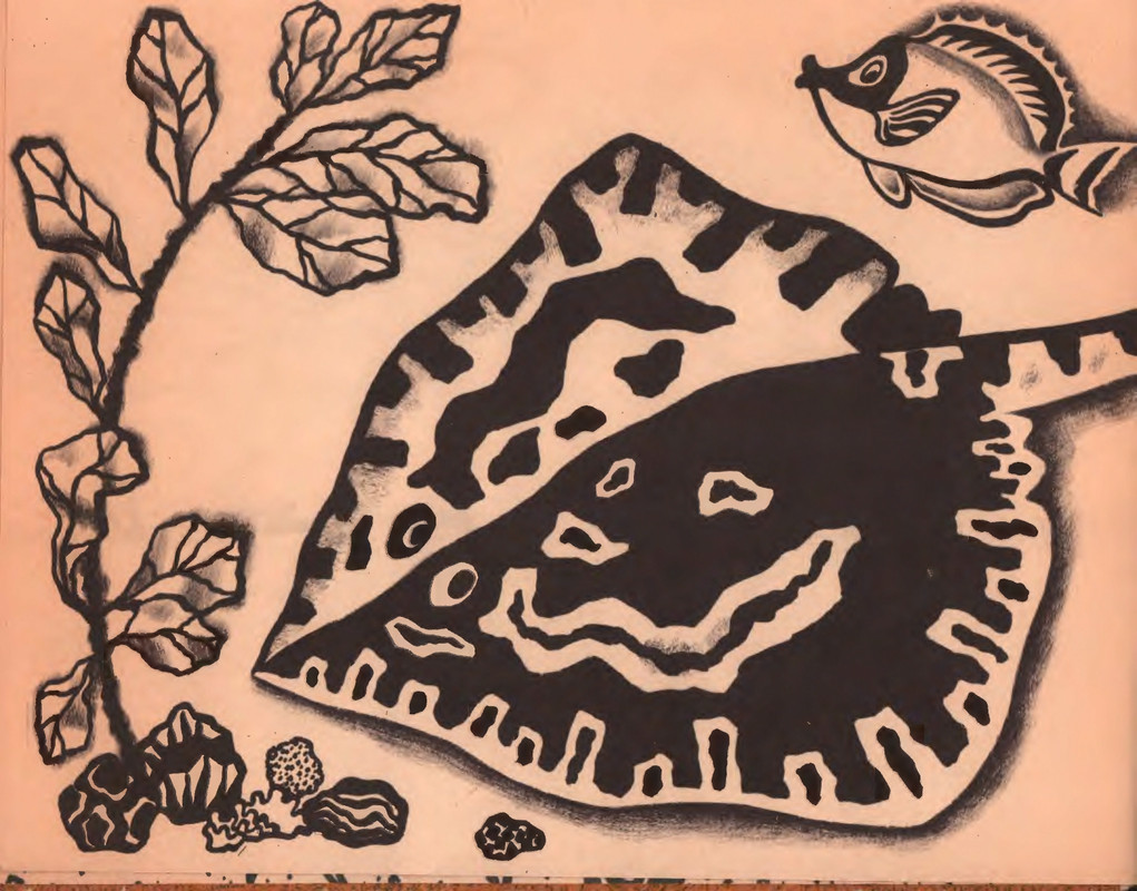 Шульжик В. - Голубая бухта - 1970_page-0006