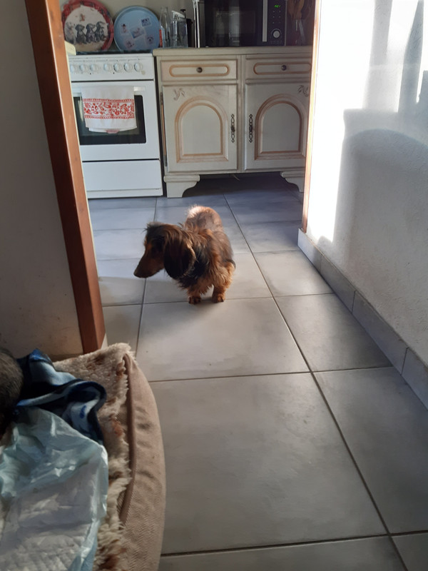 [Image: 20231227-145431.jpg]