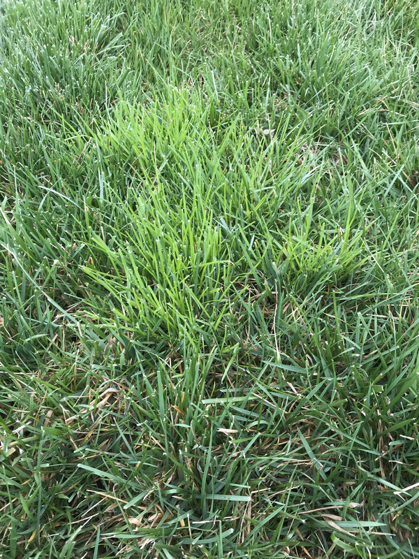 88334928-7B9D-42E5-8DE9-F1FC17FBD51A