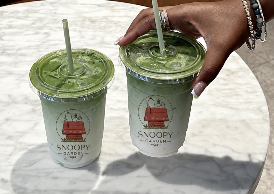 Matcha Latte