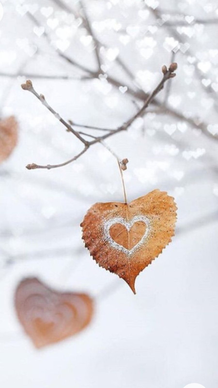 Screenshot_20230126_204432_Chrome