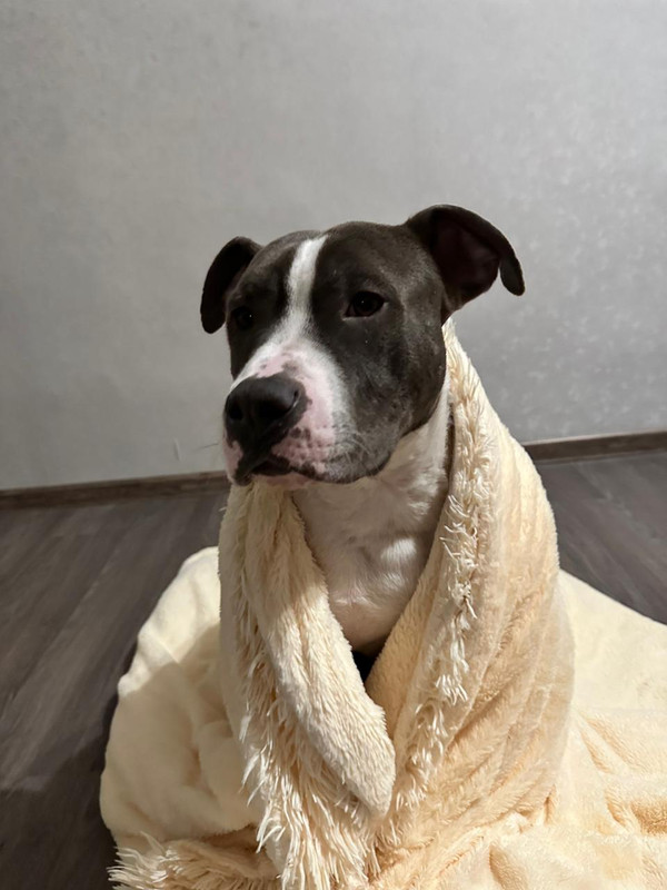 945483EA-90A9-4E02-B841-338745E7DC4A