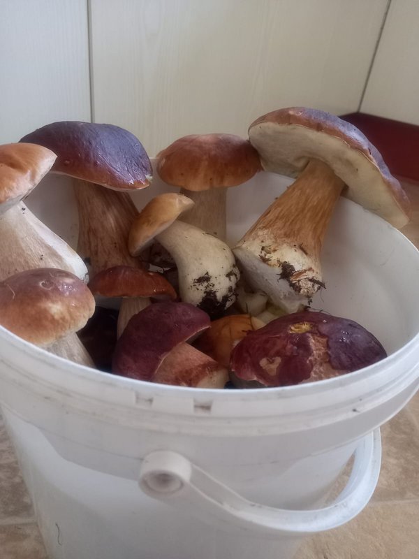 Изображение WhatsApp 2025-09-16 в 18.57.54_f573848f