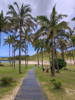 Isla de Pascua - Chile - Blogs de Chile - Vaihu-Ahu Akahanga-Rano Raraku-Ahu Tongariki-Te Pito Kura-Ahu Nau Nau-Anakena (22)