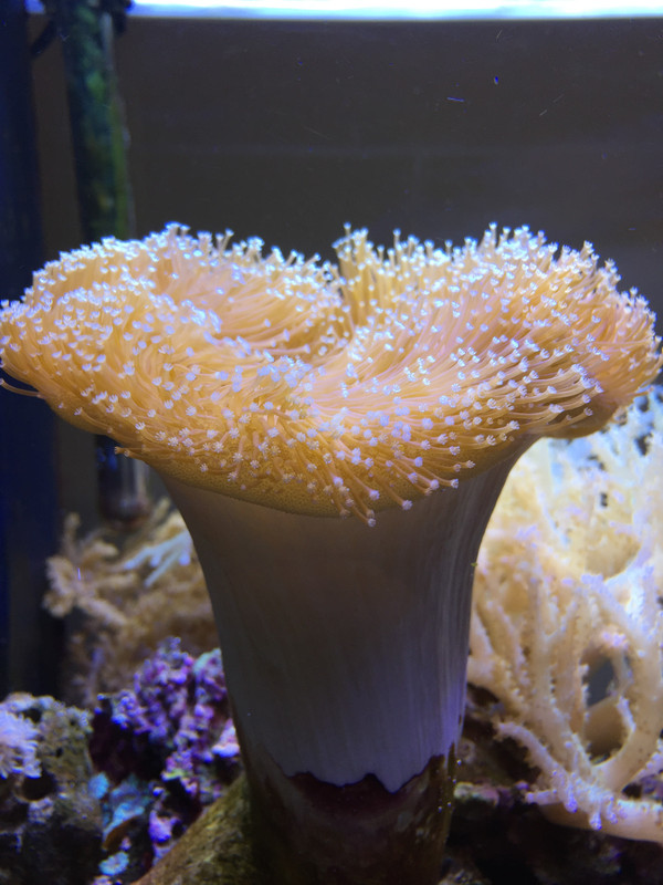 A74E3534-9455-4620-BE7D-F074F0756E61