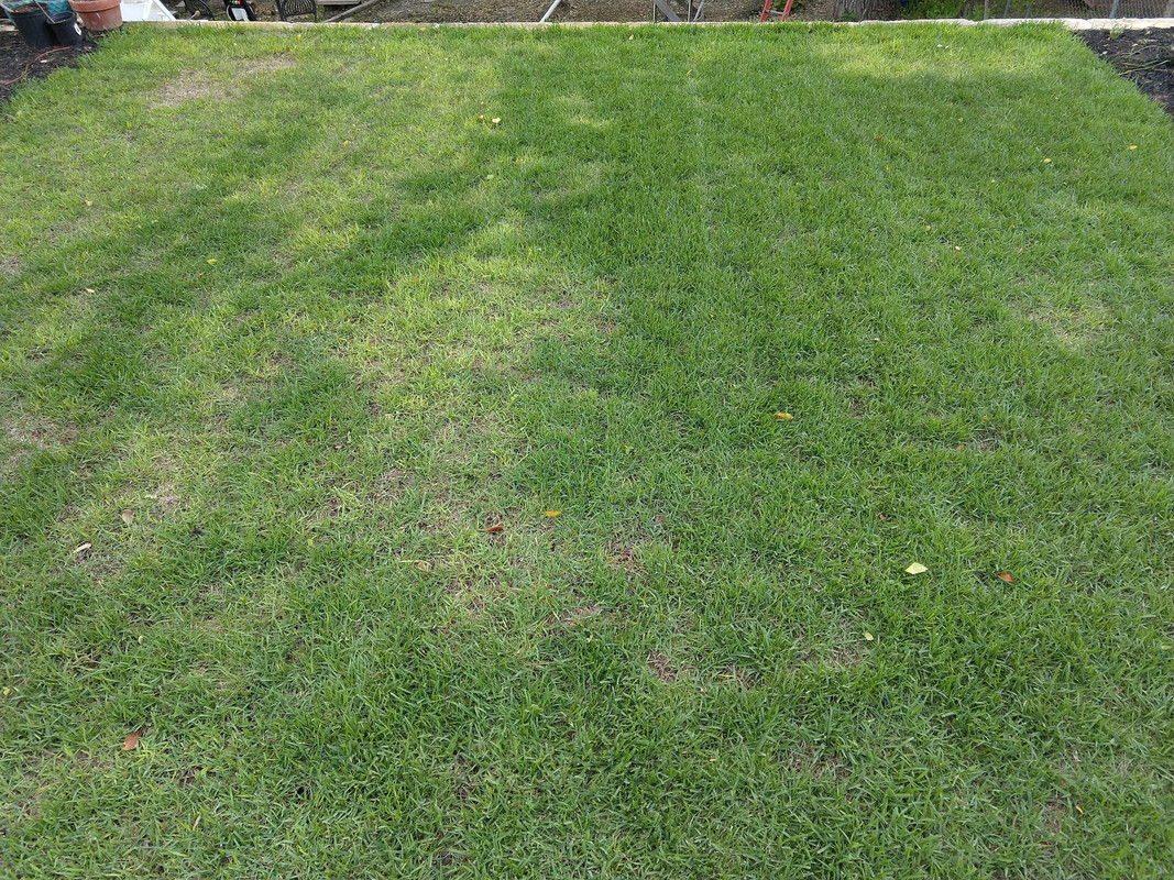 IMG_20190410_192254027