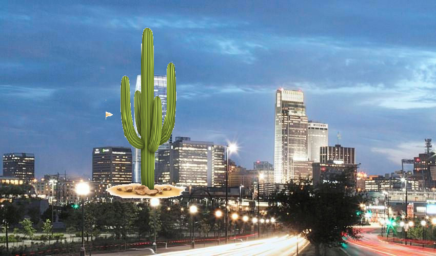 cactus