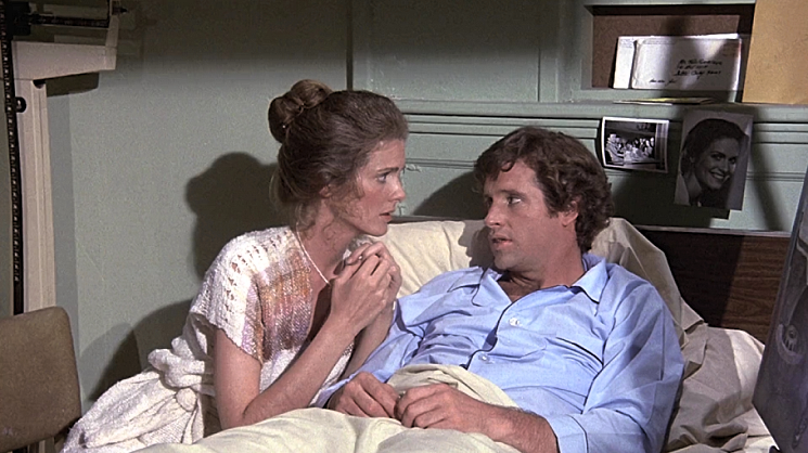 AIRPLANE-ROBERT-HAYS-FOTOR-2.png