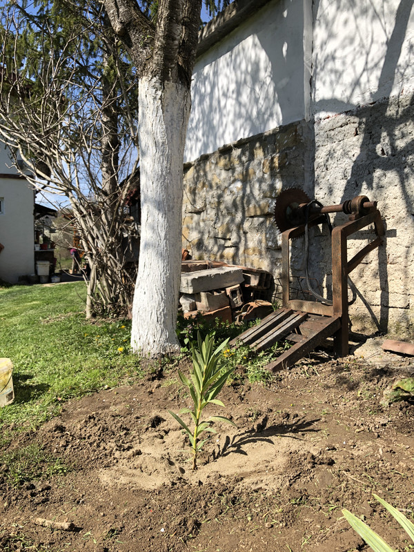 8E28F571-9354-4B83-AD3B-12EDE94058F4