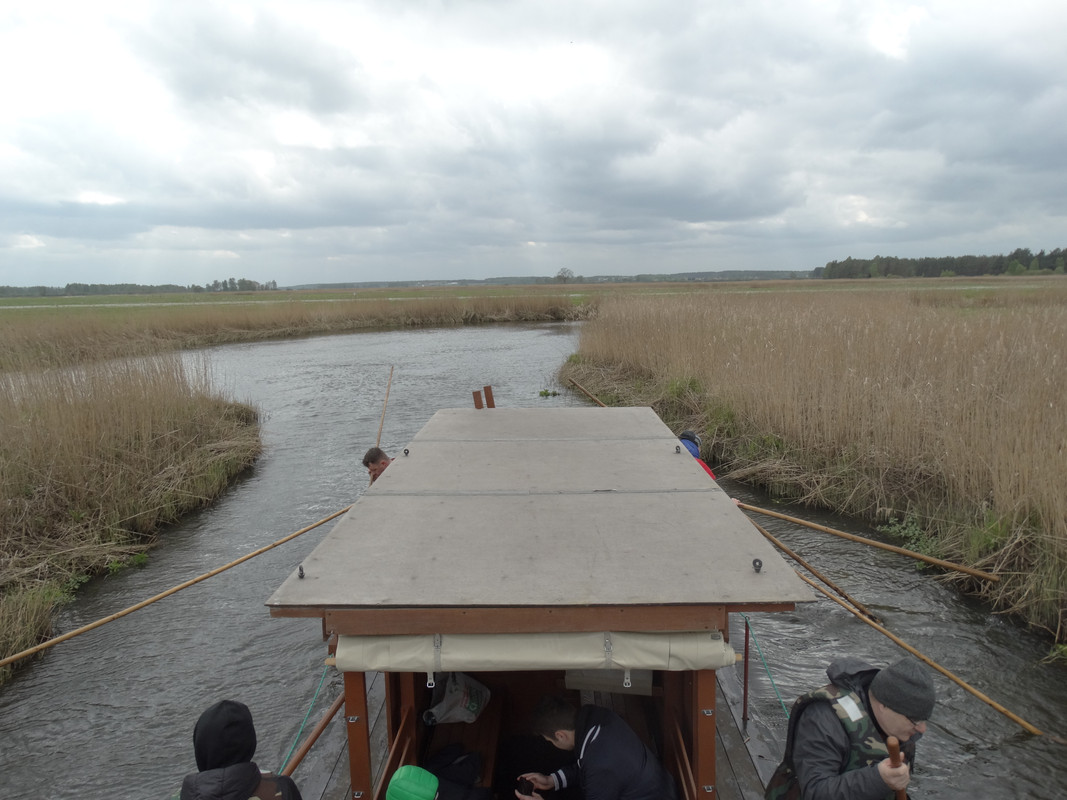 05.28 - DSC09330 (Czesio1)