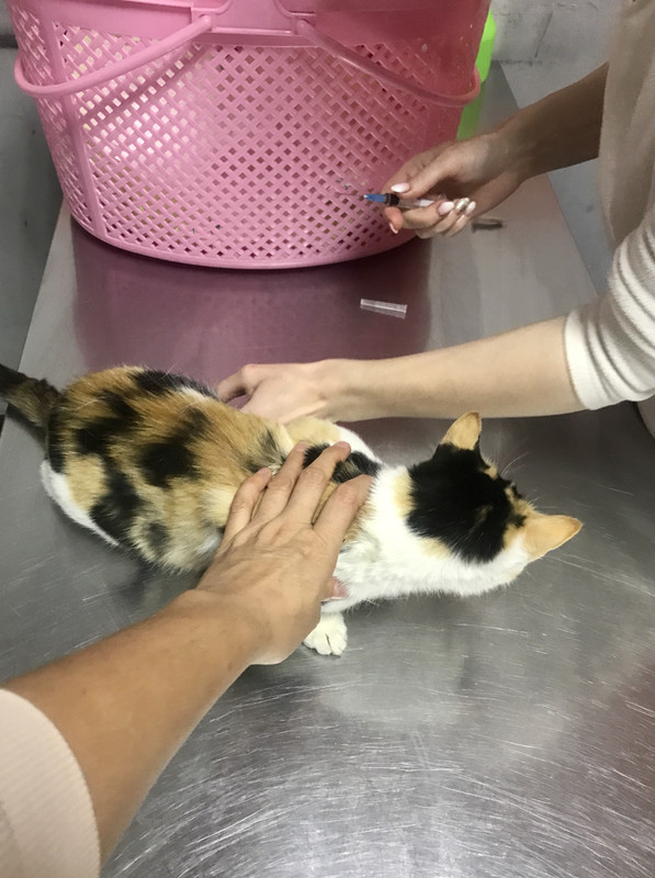 3E1AFACB-B417-41A4-BE38-C7033F85A136