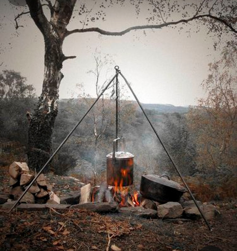 Screenshot_20231115_213309_Pinterest