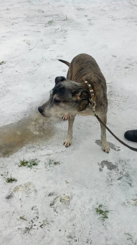 D4DB633F-92AE-485C-A78C-A4852C46D588