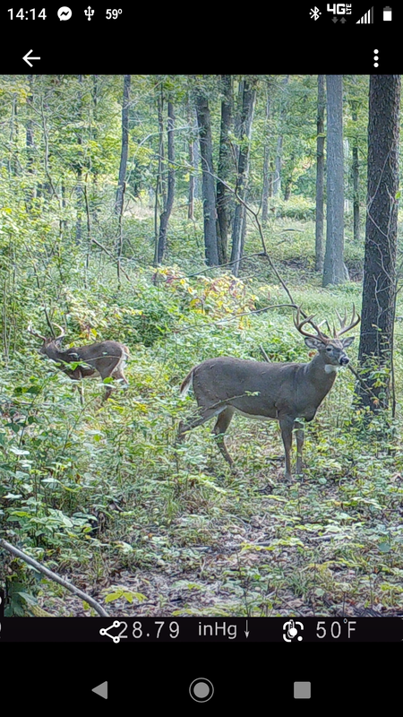 Screenshot_20200919-141407