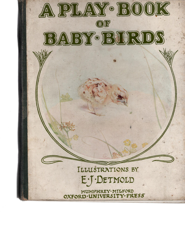 A Play Book of Baby Birds