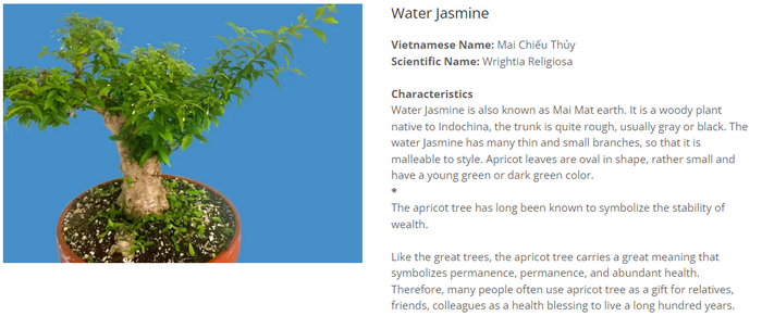 [Image: 2024-07-25-100936.png]