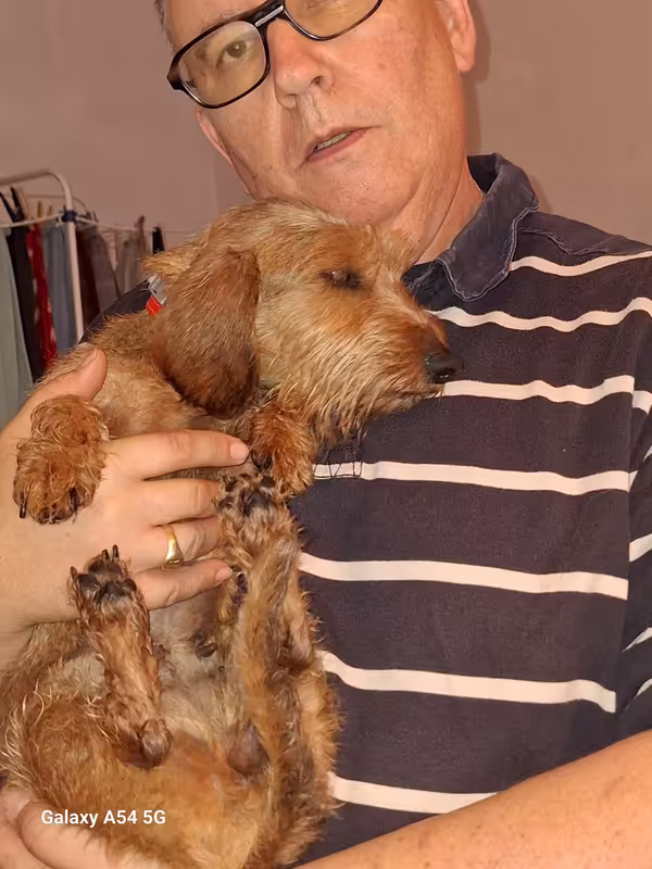 [Image: 20241006-185738.avif]