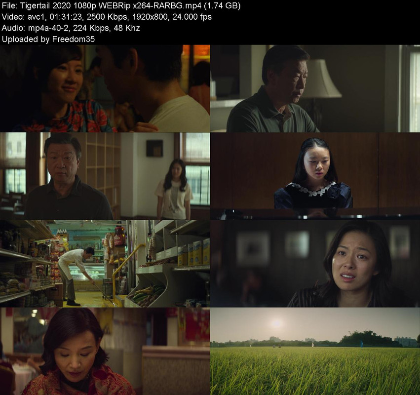 Tigertail-2020-1080p-WEBRip-x264-RARBG.j