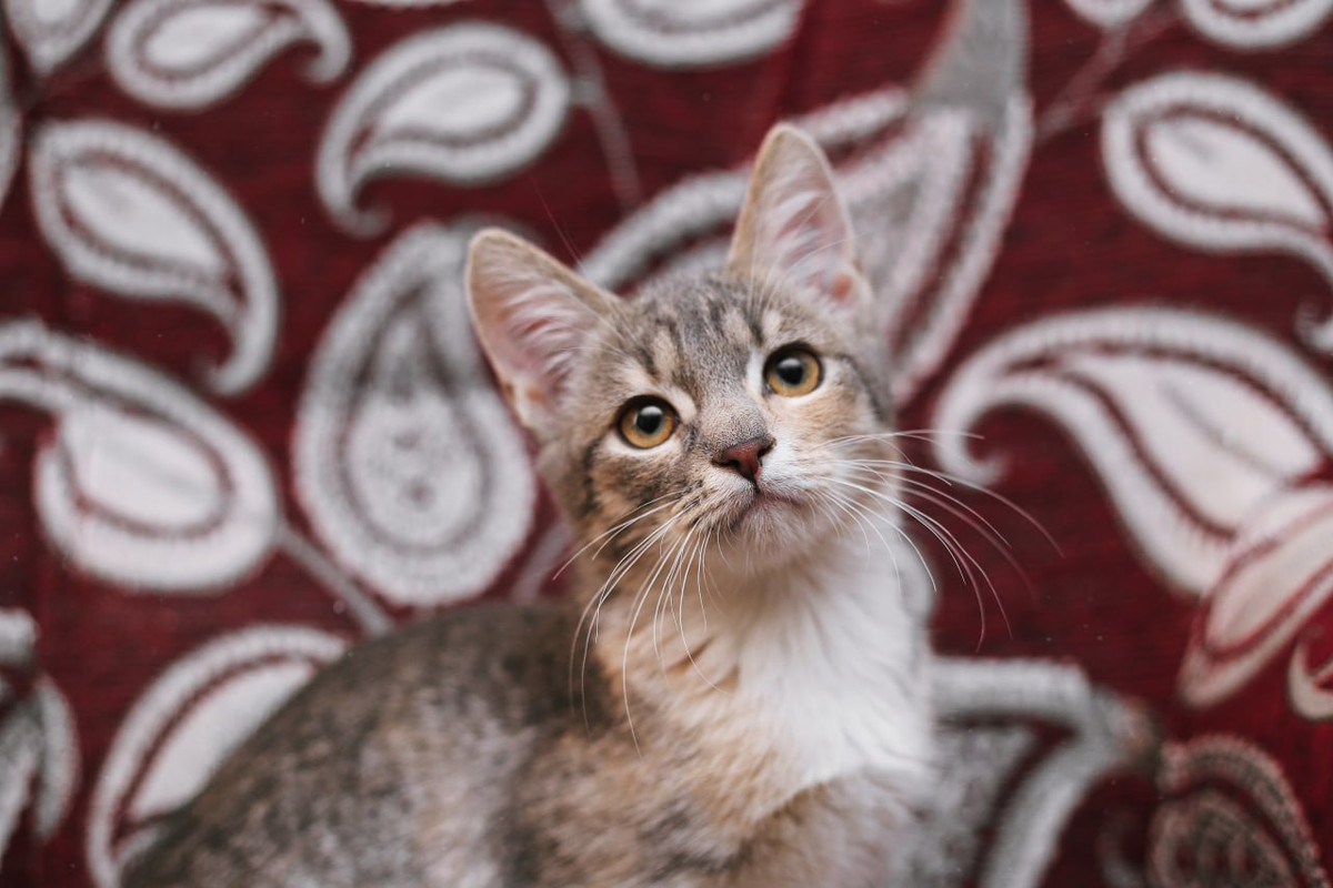 F7F3A82C-654E-44E0-8ADA-F5BD2C32B52E