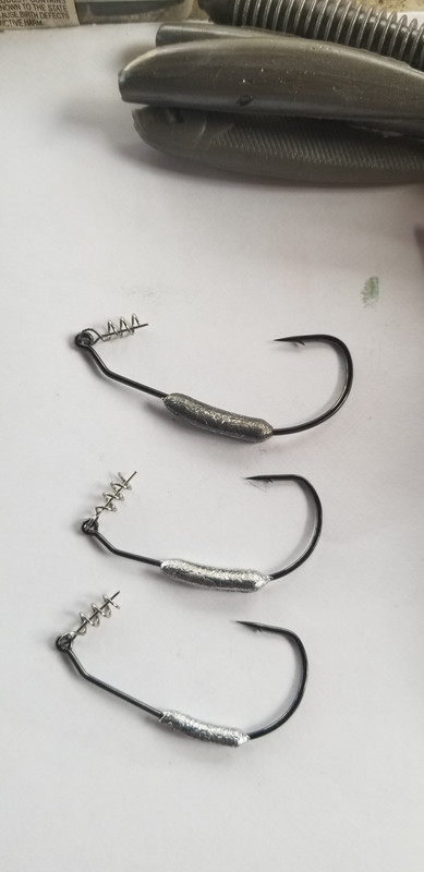 20190315-172347.jpg