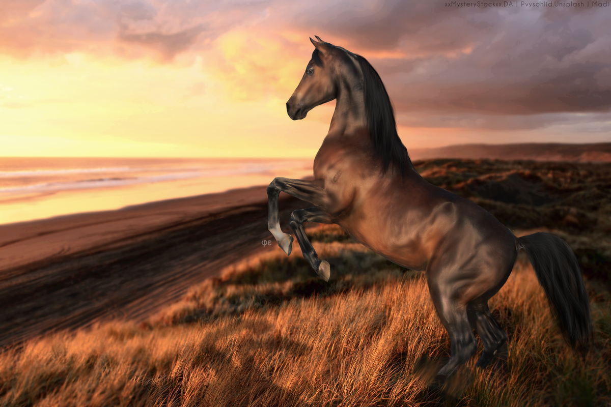 83EC5CEF-8359-413A-B45D-9639F3187BC8