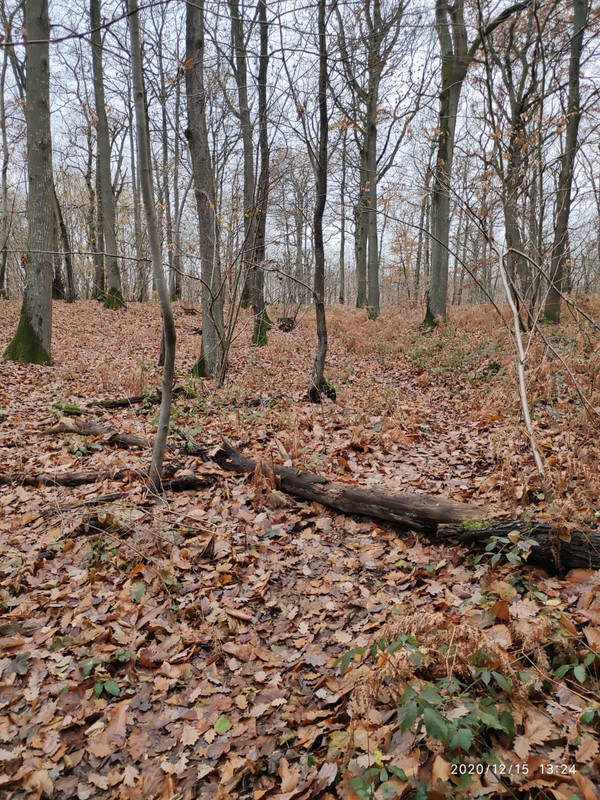 WhatsApp Image 2020-12-15 at 15.07.54 (1)