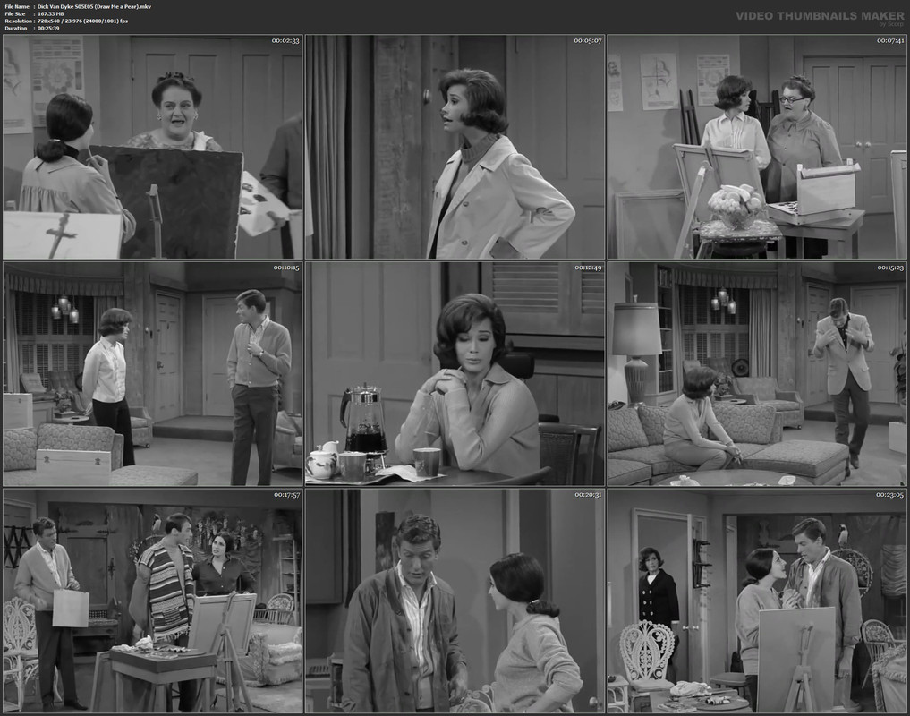 Dick Van Dyke S05E05 (Draw Me a Pear).mkv