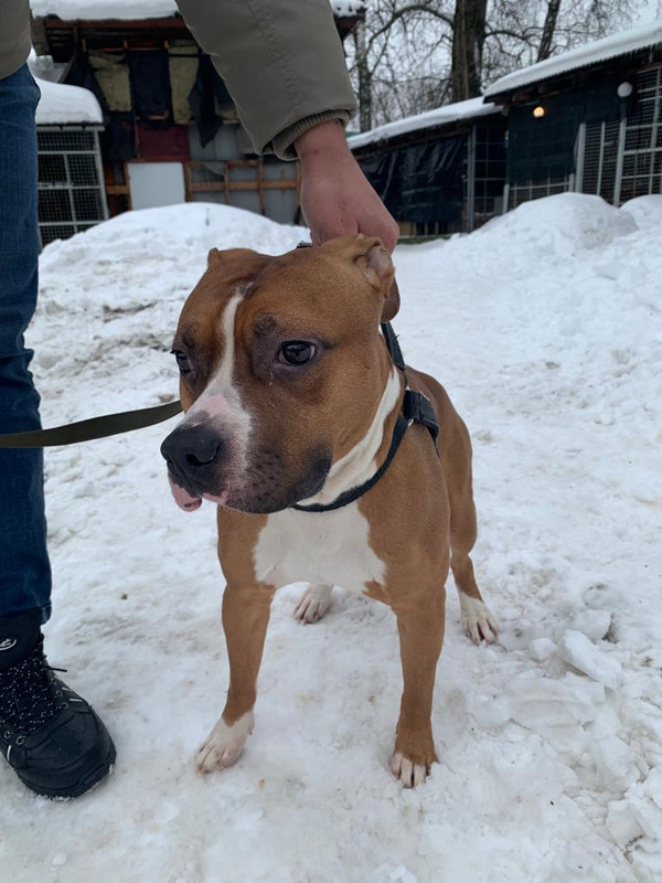 WhatsApp Image 2024-01-31 at 14.11.09 (1)