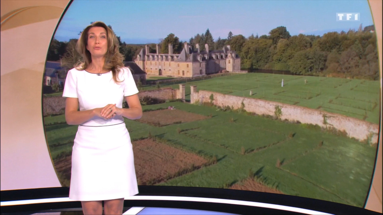 2020-11-15_13_00_TF1_Le-13h.mp4_snapshot_00.46.08.057