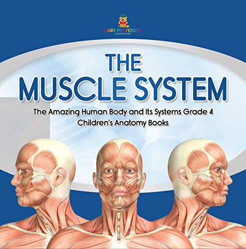 The Muscle System   The Amazing Human Body and Its Systems Grade 4   Children's Anatomy Books