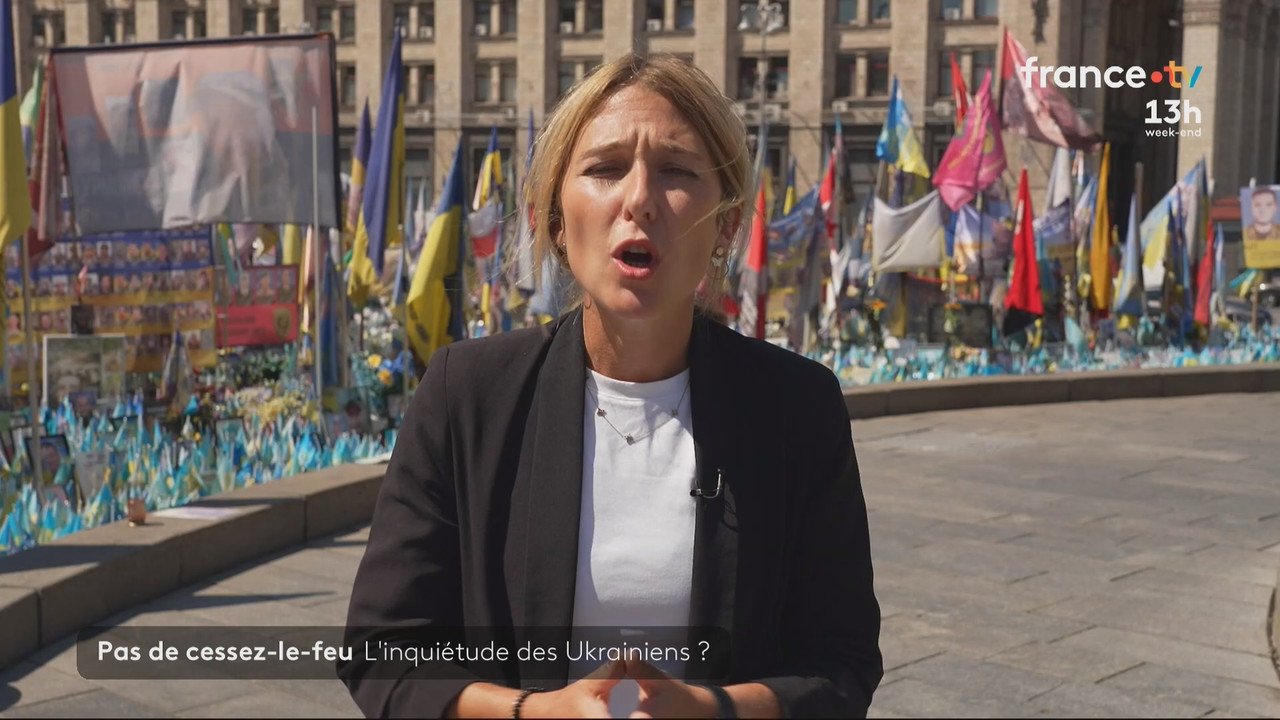 Journal 13h00 (France 2)_2025_08_16_11_55_81.ts_snapshot_09.33.414